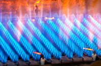 Ettrick gas fired boilers